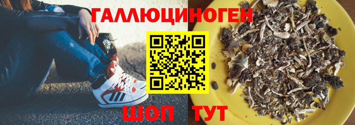 Галлюциногенные грибы Cubensis Кинель